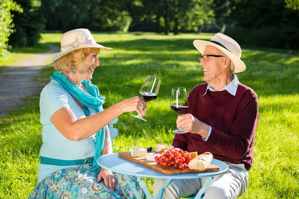 Verliebte Senioren Picknicken Park Sitzen Tisch Und Schauen Sich Beim — Stockfoto