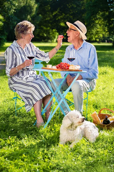 Älteres Paar Und Weißer Kleiner Hund Sitzen Park Trinken Rotwein — Stockfoto