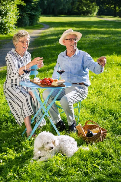 公園に座って 赤ワインを飲み 果物を食べる高齢のカップルと白い小さな犬 — ストック写真