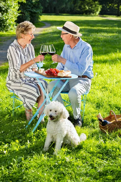 老年夫妇和白色小狗坐在公园里 喝红酒和吃水果 — 图库照片