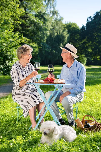 Pareja Anciana Perrito Blanco Sentado Parque Bebiendo Vino Tinto Comiendo — Foto de Stock