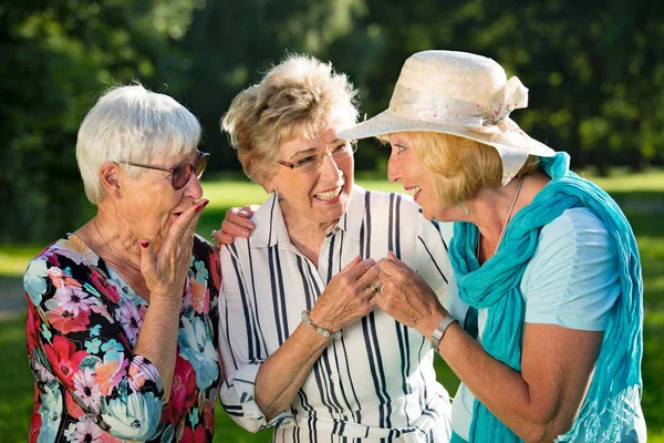 Tre Äldre Kvinnliga Vänner Skvallra Utomhus Medan Står Parken — Stockfoto