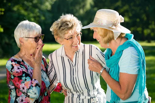 Drei Ältere Freundinnen Tratschen Draußen Park — Stockfoto