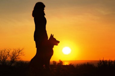 siluet kadın alanında ufukta güneşin üzerinde batan güneşin tadını çıkaran bir köpek ile yürüyüş, doğa üzerinde kızın bacağının yanında oturan evcil hayvan, kavram dostluk insan ve hayvan