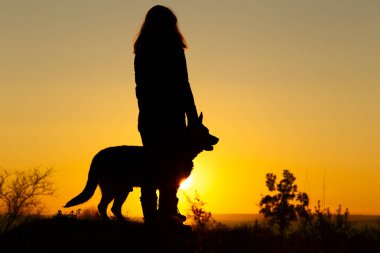gün batımında tarlada bir köpekle yürüyen siluet kadın, doğada kızın bacağının yanına giden evcil hayvan