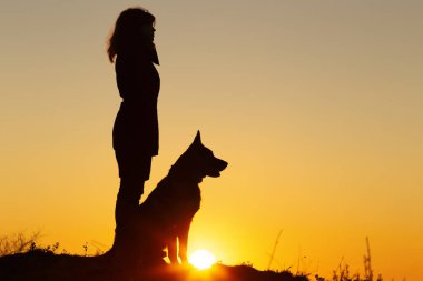 genç kadın ang Alman Çoban köpeği siluet profili gün batımında mesafe bakarak, sahada kız bacağı yakınında oturan evcil hayvan, uyum insan ve doğa kavramı