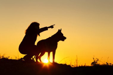gün batımında tarlada bir köpekle yürüyen siluet kadın, doğada evcil hayvan hedefini gösteren bir kız