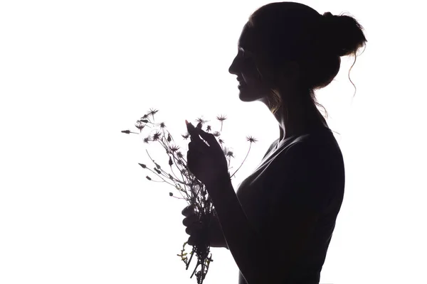 Silhouette pof una bella ragazza con un bouquet di denti di leone secchi, il profilo del viso di una giovane donna sognante su uno sfondo bianco isolato — Foto Stock