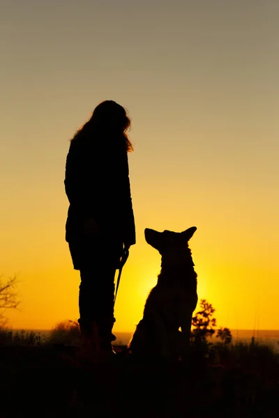 日没時にフィールドを見ている犬を持つシルエットの女性、自然の上に女の子の足の近くに座っているペット, — ストック写真