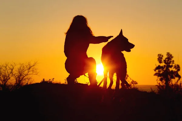 Silhueta mulher andando com um cão no campo ao pôr do sol, menina acariciando animal de estimação sentado perto da natureza — Fotografia de Stock