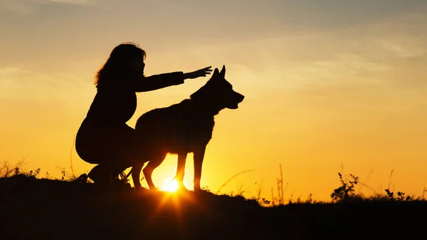 Silueta joven mujer caminando con un perro en el campo al atardecer, una chica en la colina mostrando a su mascota en la distancia, mujer se comunica con el amigo de cuatro patas sobre la naturaleza —  Fotos de Stock