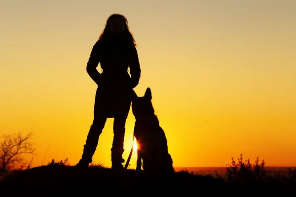 Silhueta mulher andando com um cão no campo ao pôr do sol, uma menina em uma jaqueta de outono em pé perto de seu animal de estimação na natureza — Fotografia de Stock