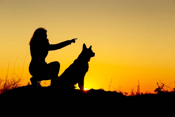 Mujer silueta caminando con un perro en el campo al atardecer, una chica mostrando su objetivo mascota por delante en la naturaleza —  Fotos de Stock