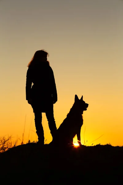 Silueta de perro sentado mujer cercana, niña de pie con confianza en la colina con mascota al atardecer en un campo, concepto animal y humano — Foto de Stock