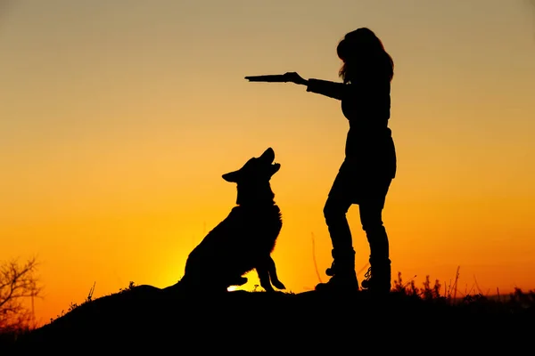 Mujer silueta pasear con un perro en el campo al atardecer, una chica en una chaqueta de otoño jugando con mascotas lanzando palo de madera en la naturaleza —  Fotos de Stock