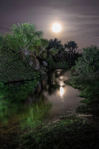 Night with full moon at the river