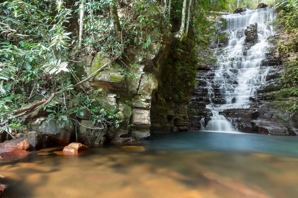 Ormanda gizli şelale