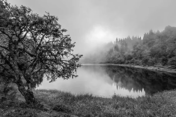 Lagoa Encantada Entre Montanhas Com Nevoeiro Árvore — Fotografia de Stock