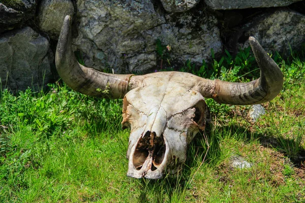 Dağlarda Baş kemikleri