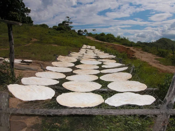 Venezuela Geleneksel Gıda Ekmek bir tür 