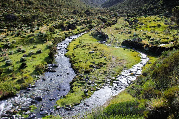 Nehir ve yeşil alan ile eğri yol