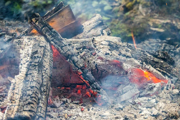 barbekü yapmak için yanan odun