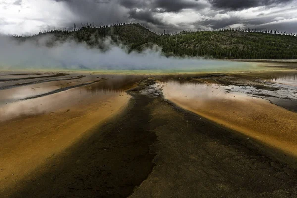 yellowstone milli parkında jeotermal bakteriler