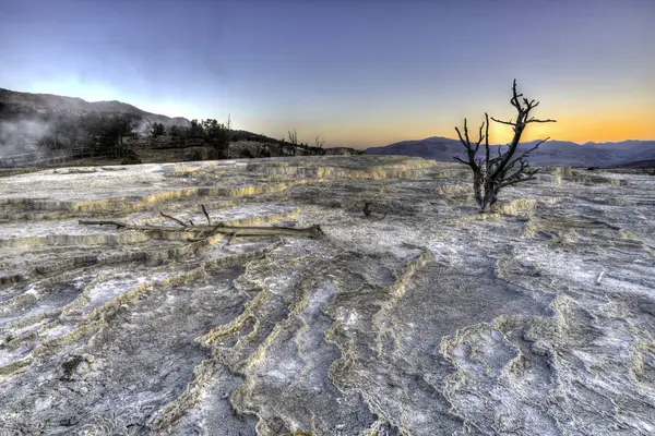 Solnedgång Med Döda Träd Termisk Område Yellowstone — Stockfoto