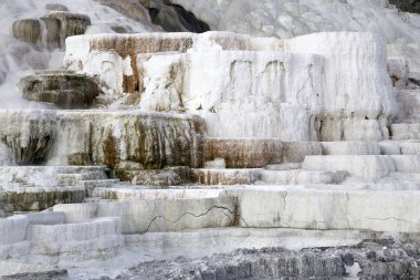 yellowstone de Mammoth Kaplıcaları yaklaşım görünümü