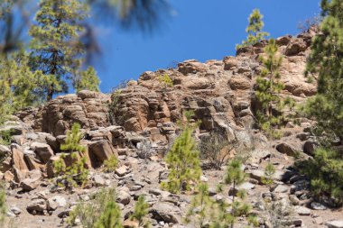 Antik Kalenin Harabeleri