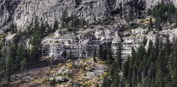 yellowstone dağlarının görünümü