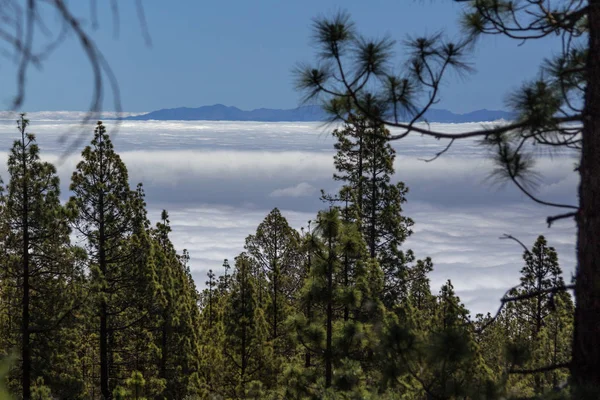 bulutlar denizinden dağlar çıkıyor