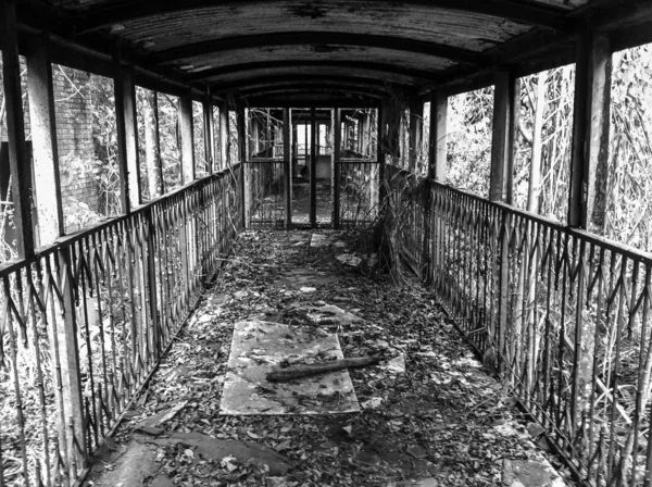 Vagão Passageiros Abandonado Gran Ferrocarril Venezuela Miranda Venezuela — Fotografia de Stock