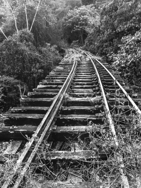 Trilhos Trem Abandonados Gran Ferrocarril Venezuela Miranda Venezuela — Fotografia de Stock