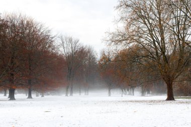 Parkta kış, Grober Tiergarten Park, Berlin, Almanya