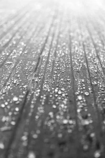 Kışın yağmur damlaları donar