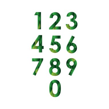 Yıl Yıldönümü Vektör Şablonu Tasarım İllüstrasyonunu Ayarla