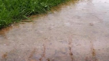 Yağmur. Çimenlerin üzerine yağmur yağıyor. Geçitte yağmur yağıyor. Isliyi beton. Su yansıması. Yağmur damla -ları. Bahçede yağmur