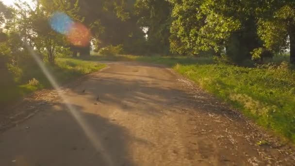 Noite Primavera Pôr Sol Noite Passeio Nocturno Brilho Câmera — Vídeo de Stock