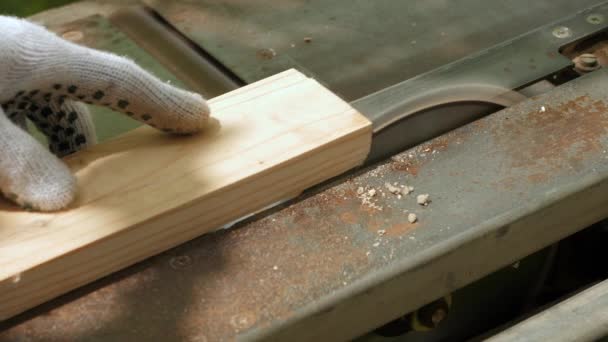 在圆锯上切割木材 圆形锯 — 图库视频影像