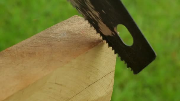 手锯在木头上 锯木锯 — 图库视频影像