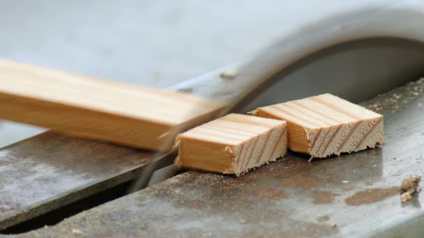 Een Cirkelzaag Snijden Van Hout Een Cirkelzaag Cirkelzagen — Stockvideo