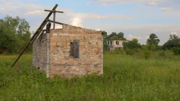 Zrujnowany Dom Środku Pola Opuszczony Dom Porośnięty Drzewami Apokaliptyczne Ruiny — Wideo stockowe