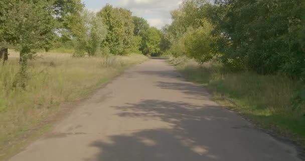 Conduire Long Route Route Dans Forêt — Video