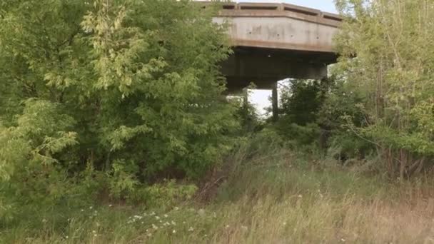Ruins Large Building Abandoned Concrete Factory Building Overgrown Trees — Stock Video