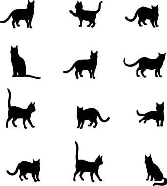 kedi desen, vektör, sanat, siyah kediler, monokrom, siyah, beyaz, kontur, siluet, hayvanlar, set, izole, kedi yavrusu, kedi izi, küçük resim, resim, stil tasarımı, dcor, iç, illüstrasyon, çizmek, el çizilmiş, illüstrasyon
