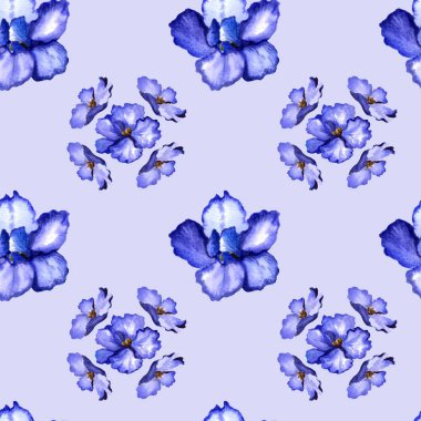 çiçek, çiçek, çiçek, mavi, menekşe, izole, çiçek, doğa, pansy, bitki, flora, çiçek, mor, bahar, güzel, viyola, çiçek, taç yaprağı, güzellik, yeşil, renk, çerçeve, yaz, izole, pansy, bahar, suluboya ile dikişsiz desen