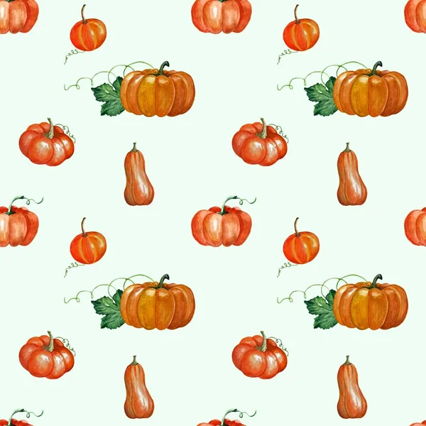 pumpkin pattern, vegetables, decoration beautiful, watercolor, art, draw, hand drawn, picture