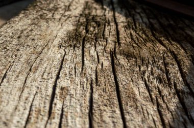 Farklı renkte çatlaklara ve damarlara sahip ahşap tahta..