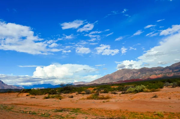 Paesaggio Desertico Della Provincia Salta Argentina — Foto Stock